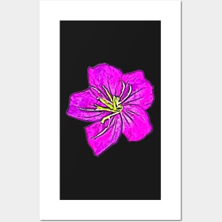 Spanish Shawl Flower Heterocentron Elegans Pink Aesthetic Pattern Posters and Art